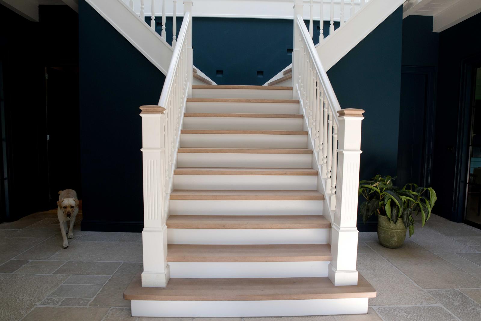 Split level trap